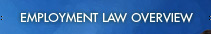 Employment Law Overview